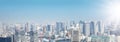 Panoramic view to the Tokyo, Japan from air Royalty Free Stock Photo