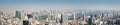 Panoramic view to the Tokyo, Japan from air Royalty Free Stock Photo