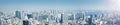 Panoramic view to the Tokyo, Japan from air Royalty Free Stock Photo