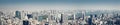 Panoramic view to the Tokyo, Japan from air Royalty Free Stock Photo