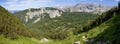 Panoramic view to valley under wooded peaks with rocky peak in backround, Totes Gebirge, Alps, Austria