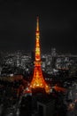 Panoramic view of Tokyo Tower Royalty Free Stock Photo
