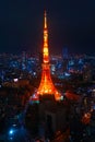 Panoramic view of Tokyo Tower Royalty Free Stock Photo