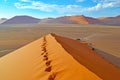 Panoramic view from top of Dune 45 at Sossusvlei, Namibia, Africa Royalty Free Stock Photo