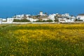 Panoramic view of Town of Ano Mera with spring flowers, island of Mykonos, Greece
