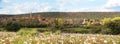 Panoramic view of the Town or Village of Castrillo de los Polvazares