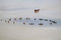 Panoramic view traditional fishermen and boat in Patzcuaro lake in the state of MichoacÃÂ¡n