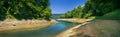 Panoramic view of tree on the lake shore