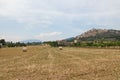Panoramic view of Trevi medieval town and Subasio mountain during summer day of june in Umbria