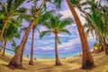 Panoramic view of tropical beach with coconut palm trees Royalty Free Stock Photo