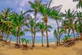 Panoramic view of tropical beach with coconut palm trees Royalty Free Stock Photo