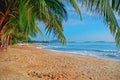 Panoramic view of tropical beach with coconut palm trees Royalty Free Stock Photo