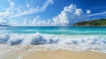 Panoramic view of a tropical beach with crystal clear turquoise water