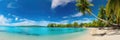 A panoramic view of a tropical beach with turquoise waters and palm trees Royalty Free Stock Photo