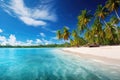 A panoramic view of a tropical beach with turquoise waters and palm trees Royalty Free Stock Photo