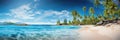 A panoramic view of a tropical beach with turquoise waters and palm trees Royalty Free Stock Photo