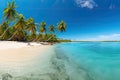 A panoramic view of a tropical beach with turquoise waters and palm trees Royalty Free Stock Photo