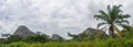 Panoramic view of a tropical landscape, with forest and mountains Kumbira forest reserve