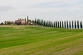 Panoramic view of tuscan landscape with green fields and rows of cypress trees, Tuscany, Italy Royalty Free Stock Photo