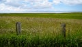 Rural Danish landscape with fields and meadows in the forefront and the coastal line in the horizon. South Jutland, Denmark Royalty Free Stock Photo