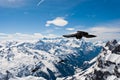 Panoramic view of Urner Alps Royalty Free Stock Photo