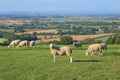 Panoramic view of valley Royalty Free Stock Photo