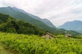 Panoramic view of Valsugana from Torcegno Royalty Free Stock Photo