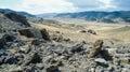 A panoramic view of a vast valley littered with dinosaur bones showcasing the magnitude of the Bonebed