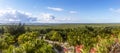 Panoramic view of the vegetation of the Nichupte lagoon on Kukulcan Avenue in the hotel zone of Cancun in Mexico. Tropical Royalty Free Stock Photo