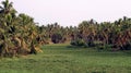 Panoramic View of Veli Tourist Village Lake in Trivandrum