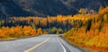 Panoramic view of Vibrant fall foliage along scenic Richardson highway in Alaska Royalty Free Stock Photo