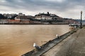 Panoramic view of Vila Nova de Gaia town in Portugal