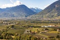 Panoramic view of vineyard and apple orchard in the mountains  at Merano. Italy Royalty Free Stock Photo