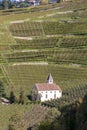 Panoramic view of vineyard and apple orchard in the mountains  at Merano. Italy Royalty Free Stock Photo