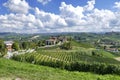 Panoramic view of vineyard during enological tour in Langhe driving italian vintage spider cars Royalty Free Stock Photo
