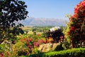 Panoramic view from vineyard on hill top beyond flowers and wine barrel into green valley of village Nyaungshwe and mountain range Royalty Free Stock Photo