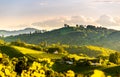 Panoramic view from vineyard to green hills of south styrian wine route in Austria in sunset. Glanz an der Weinstrasse.