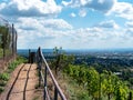 Panoramic view from the vineyards over Dresden Royalty Free Stock Photo