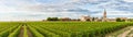 Panoramic view of vineyards of Saint Emilion, Bordeaux, Gironde, France. Medieval church in old town and rows of vine on