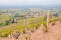 Panoramic view of the vineyards surrounding the picturesque french village of Fleurie Royalty Free Stock Photo