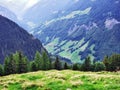 Panoramic view at the Weisstannen village and on the Weisstannental valley