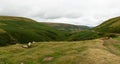 Panorama of the Welsh countryside Royalty Free Stock Photo