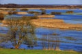 Panoramic view of wetlands and meadows of the Biebrzanski National Park Royalty Free Stock Photo