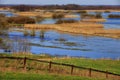 Panoramic view of wetlands and meadows of the Biebrzanski National Park by the Biebrza river in Poland