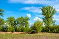 Wetlands wooded meadows of Lawice Kielpinskie natural reserve at the Vistula river near Lomianki town north of