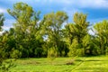 Wetlands wooded meadows of Lawice Kielpinskie natural reserve at the Vistula river near Lomianki town north of