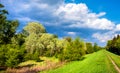 Wetlands wooded meadows of Lawice Kielpinskie natural reserve at the Vistula river near Lomianki town north of