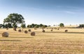 Panoramic view of a wheat field with hay bales in Puglia - Typical spring landscape in southern Italy Apulia Royalty Free Stock Photo