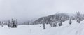 Panoramic View of the White Snow Covered Canadian Mountain Landscape Royalty Free Stock Photo