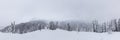 Panoramic View of the White Snow Covered Canadian Mountain Landscape Royalty Free Stock Photo